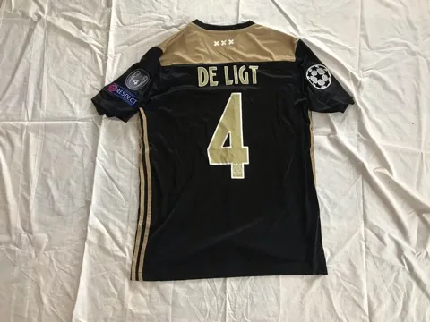 Matthijs de Ligt